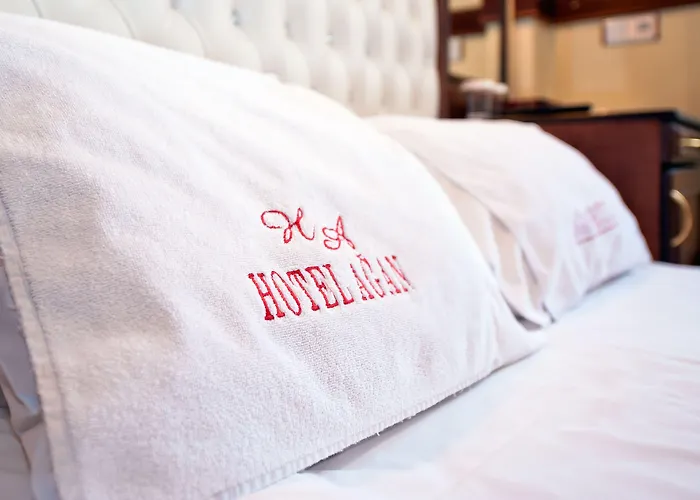 Agan Oldcity Hotel 3*